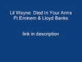 Lil Wayne Died In Your Arms Ft Eminem Lloyd Banks Remix