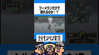 【MHP2G】ブーメランだけでキリンは狩れるのか！？【モンハンワイルズ】