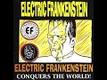 Electric Frankenstein - Deal With It