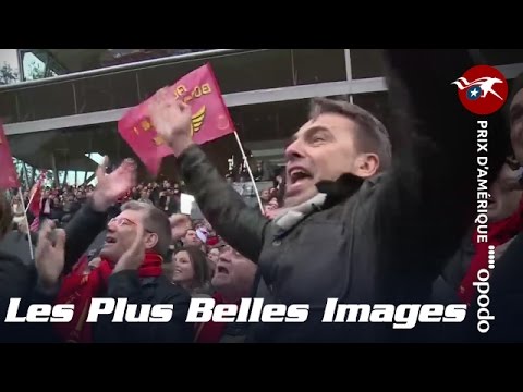 Les plus belles images du Prix d'Amérique Opodo 2016