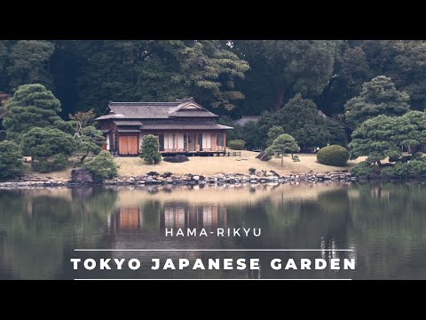 Hama-Rikyu Japanese Garden (Tokyo, Japan) | A Strolling Garden Amongst the Skyscrapers | 浜離宮恩賜庭園
