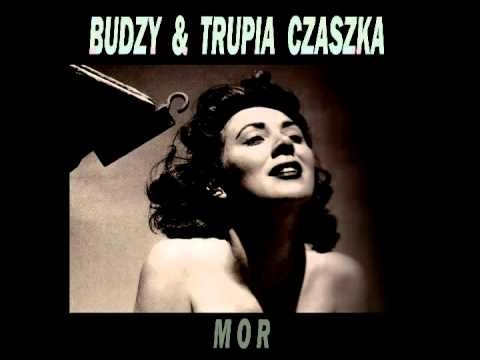 BUDZY & TRUPIA CZASZKA