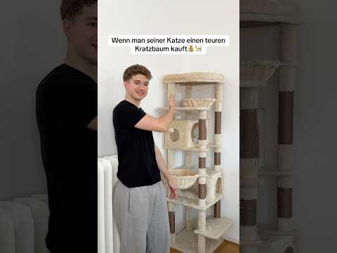 Wenn man seiner Katze einen teuren Kratzbaum kauft 😂🐈 | Fionntime