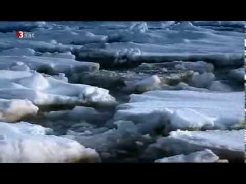 "Unser Wissen ist ein Tropfen. Wasser, das unbekannte Wesen", ORF, 3sat