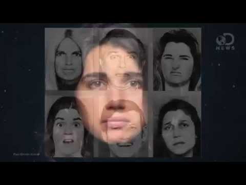 Evolution’s Impact on Society