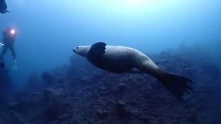 クラブキッズ(CLUB KID'S)