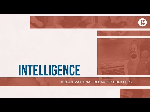 What is Organizational Behavior