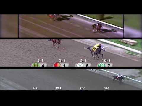 Shades of Gray - Unbridled's Song's Legacy