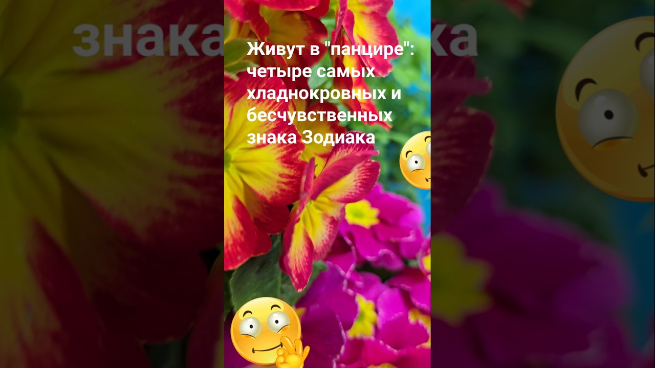 Живут в "панцире": четыре самых хладнокровных и бесчувственных знака Зодиака / Гороскоп Астрология