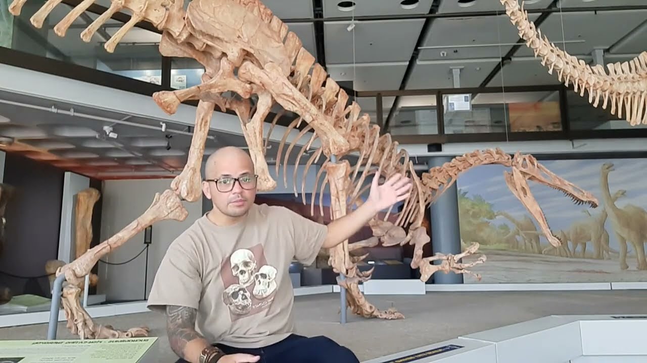 A #FossilFriday on the preservation of organisms - with Xavier Middleton!