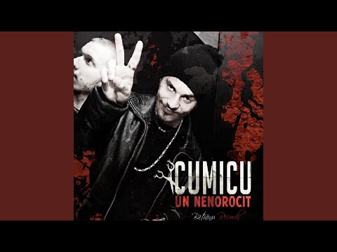 Mi-e jena (feat. Vinyl Sapiens)