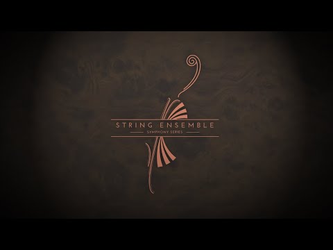 Library Spotlight - Symphony Series Strings