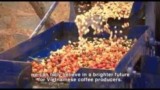 Enhancing the value of Vietnamese coffee