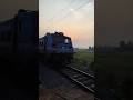 TrainDiery 🚇 Rail 🚂 EP131 ❤️💕
