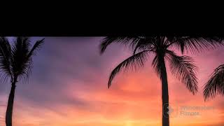 Kenny G - The shadow of your smile