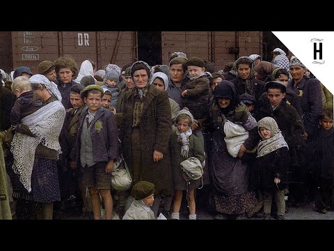 NEVER-SEEN VIDEOS FROM AUSCHWITZ | COLOR