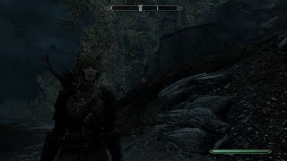 Skyrim: №14 Новая раса