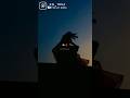 Jo Dhaga Tumse Jud Gaya Wafa Ka Status Aesthetics Status Youtubeshorts Tranding Shortsfeed