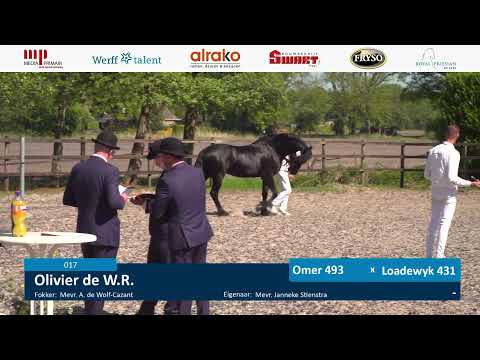 Locatiekeuring | 11 mei 2024 | Stal Mellema