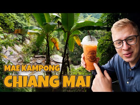 Chiang Mai: Dschungel-Abenteuer im Bergdorf Mae Kampong 🌄🐛