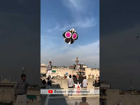 Biggest Kite Flying on Basant #kite #shorts #patang #pindi #basant #amritsar #Lahore #Pakistan