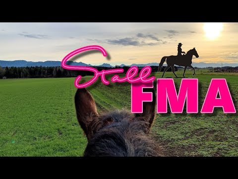 STALL FMA | AUSRITT MIT FINI | FOTOS MIT WEIHNACHTSKRANZ