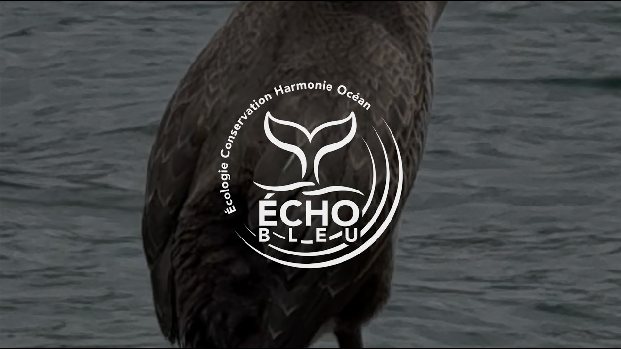 Fils de pêche abandonnés