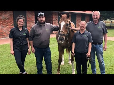 Arazi.One of The Best Horses of all time.I think so but opinions are divided.Racing Legends.