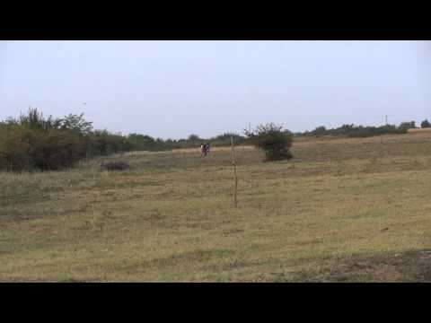 Cruceni - Timisoara Nord 20120905185352