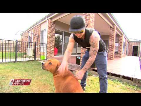 A Current Affair - Tonight - Leila VS Corey