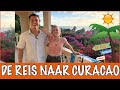 Curaçao #1 - ONZE REIS NAAR CURAÇAO! | DierenpraatTV
