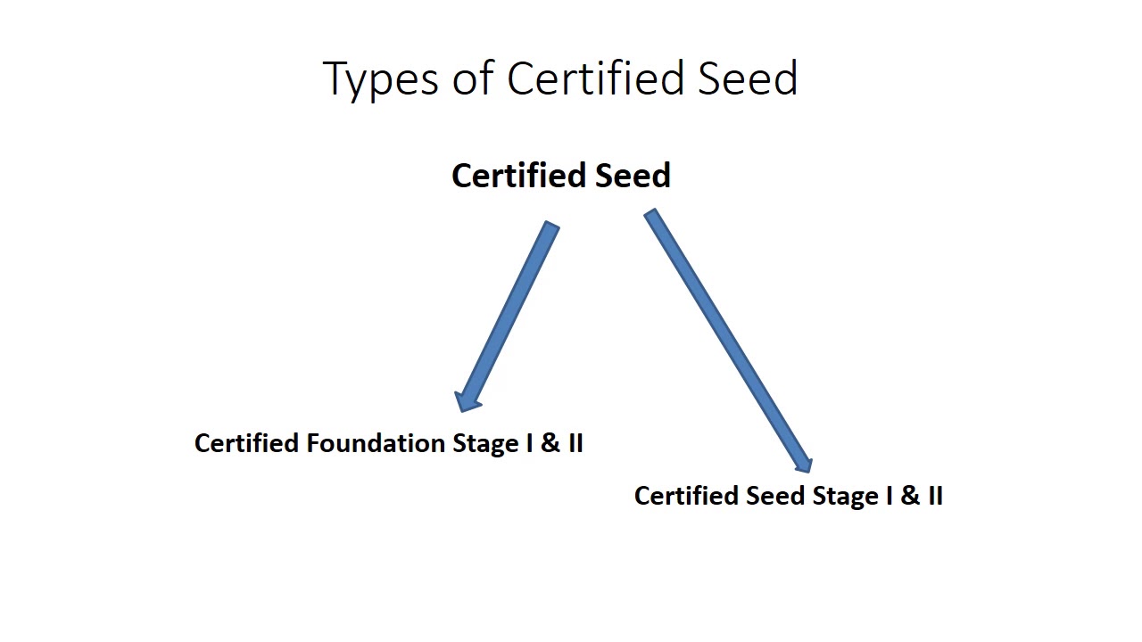 Seed tech part 1