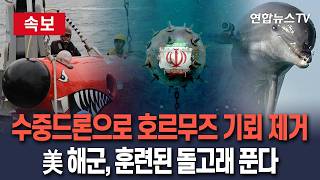 [????속보] 美 해군, 수중 드론으로 호르무즈 기뢰 제거 시작…훈련된 돌고래까지 푼다 / 연합뉴스TV(YonhapnewsTV)