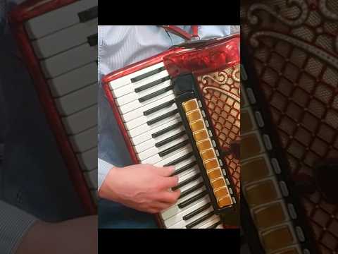 Kotek - piękny walczyk na akordeonie #biesiada #accordion #wesele #accordionandsaxophone