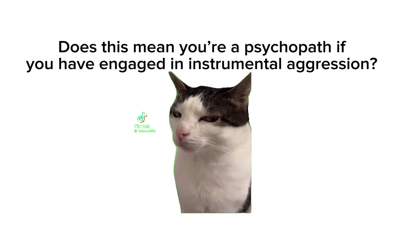 Video project. Ch. 10, Aggression