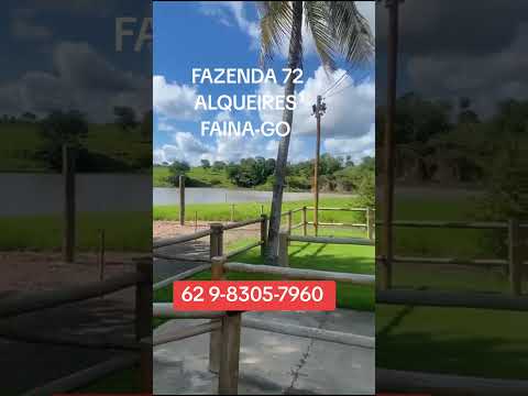 62-9-8305-7960 - FAZENDA 72 ALQUEIRES, FAINA GOIÁS