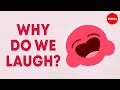 The Science Of Laughter Sasha Winkler