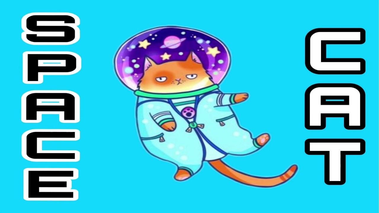 SPACE CAT | AP Lang Q2 Rhetorical Analysis | Coach Hall Writes