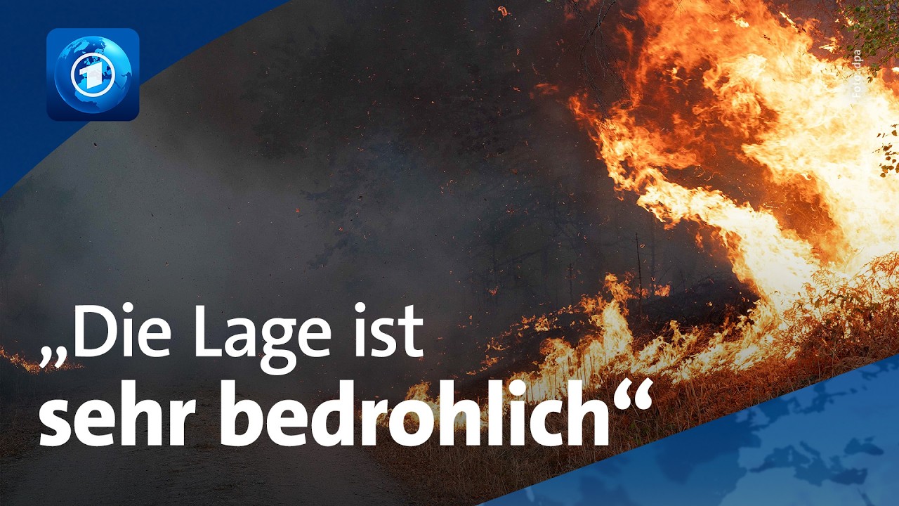 Waldbrand in der Eifel: Flammen haben Hürtgenwald fast erreicht
