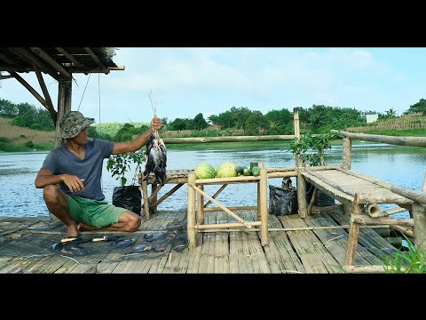 CAMPING DI RUMAH RAKIT PANEN IKAN BAWAL DAN BUAH