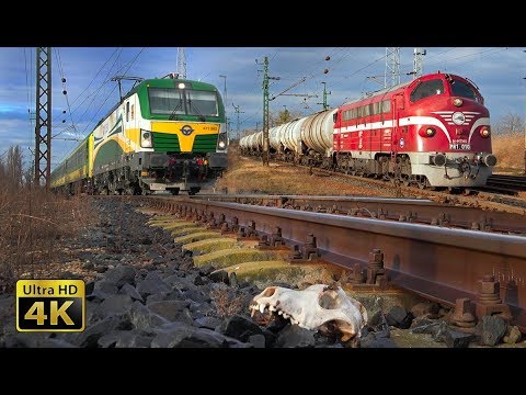 Fast trains in Hungary - 160km/h - Budapest - Gyor rail traffic (Nagyszentjanos) [4K]