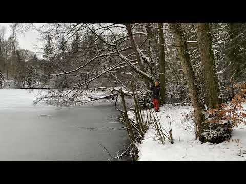 Geh aus mein Herz und suche Freud