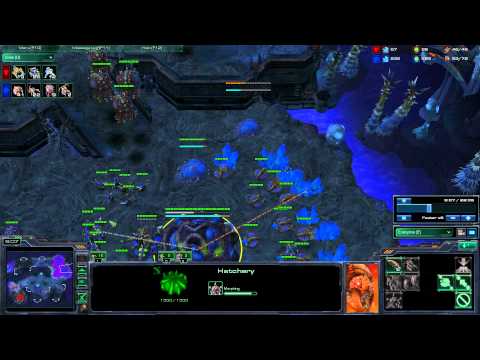 Zai [Z] vs NOOBSlayer [T]