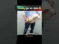 Ram Setu Pul Ka Rahasya Shorts Ramsetu