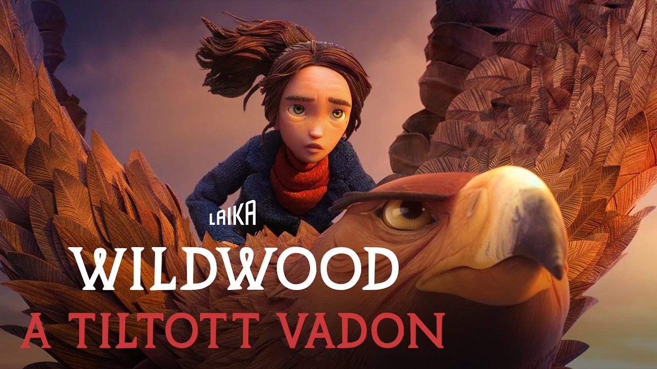 Video Cover