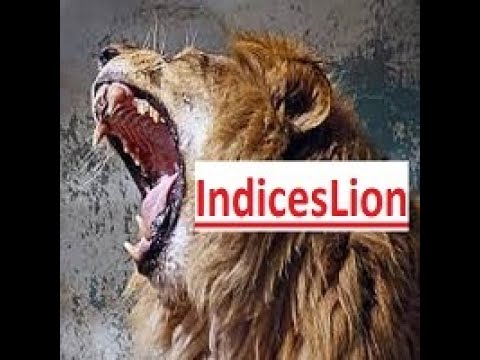 Video IndicesLion