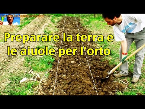 Trattamento di BPH rimedi popolari Prostata sperma di sangue