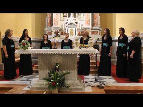 KLAPA FRITULE -  JEDAN MALI BRODIĆ