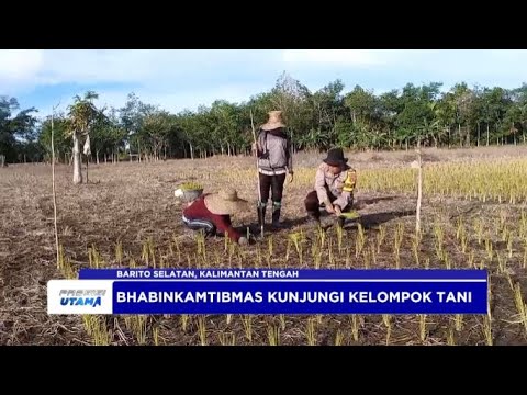 POLRES BARITO SELATAN GELAR KETAHANAN PANGAN