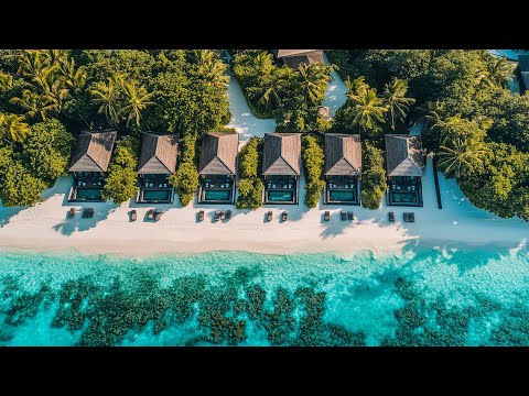 Good Vibes 24/7 🌴 Tropical Chill House Livestream